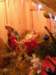 dscn2755_small.jpg