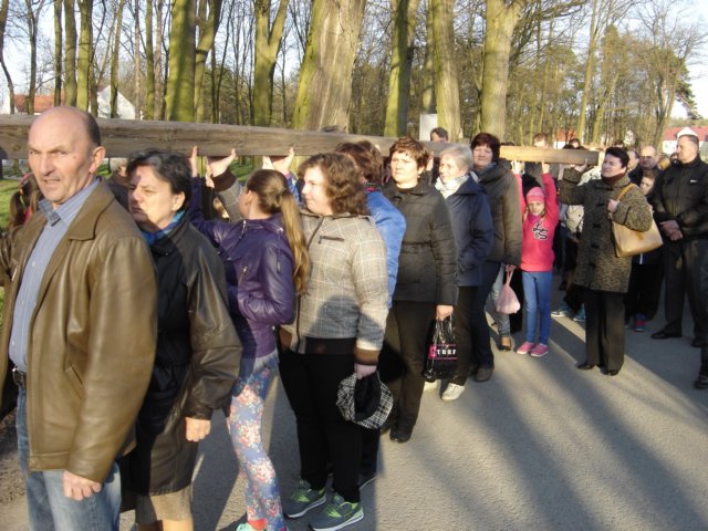 dsc03674.jpg