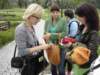 dsc03141_small.jpg