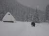 dsc00950_small.jpg